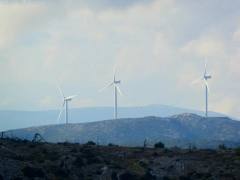 a view of white wind turbines on green grass fields in daytime
