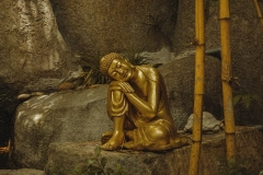 golden buddha statue sitting on rock